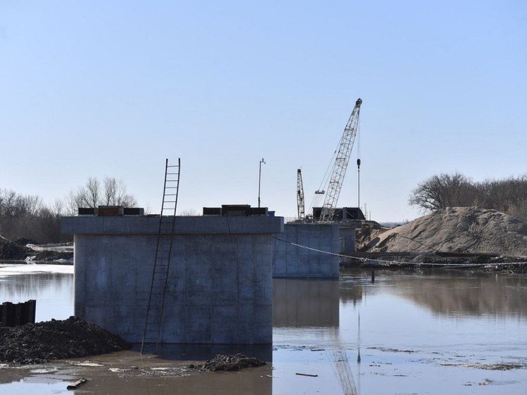Губернатору Саратовской области показали, как строится новый мост