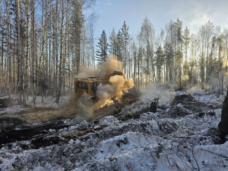 Свыше 50 гектаров торфяников потушили на Среднем Урале