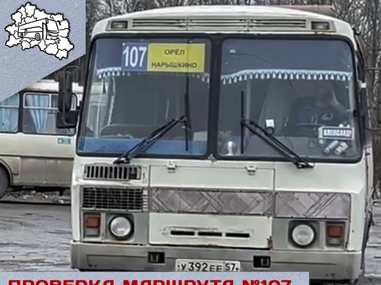В работе автобуса Орёл-Нарышкино нашли нарушения