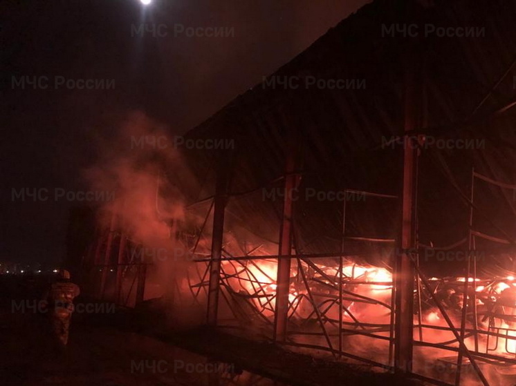Пожарные потушили горящее здание в деревне Красная Дача