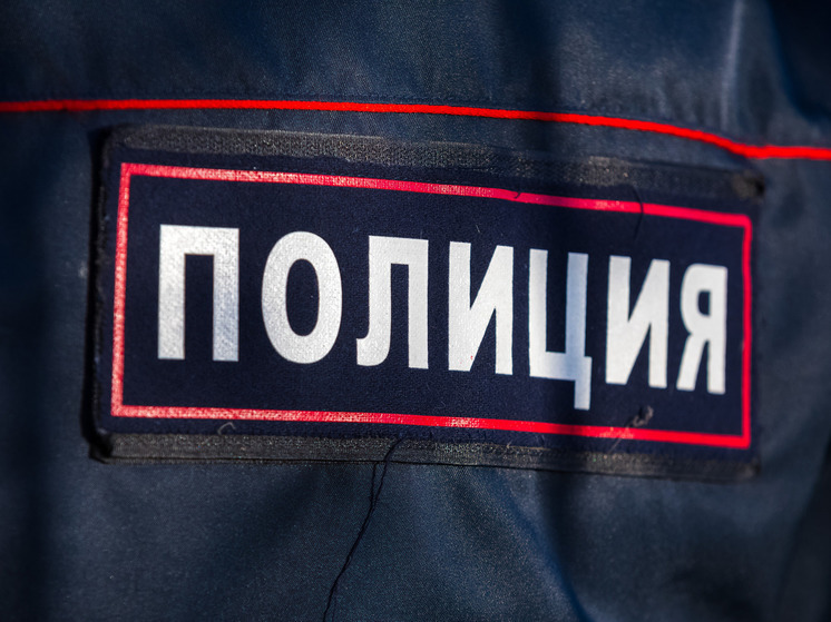 Полиция задержала в Челябинске рецидивиста, совершившего кражу телефона