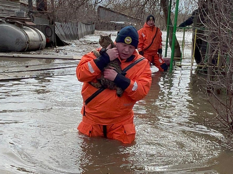 В Алтайском крае число подтопленных талыми водами домов увеличилось до 478