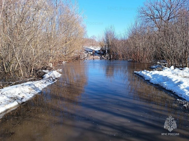 МЧС: В Ухоловском районе подтопило мост через реку Малая Мостья