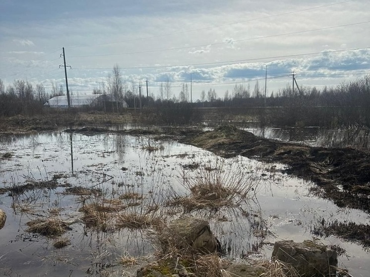 Спасатели провели мониторинг паводковой обстановки в Тосно