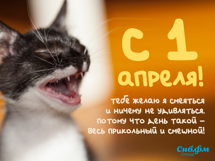 Картинки на 1 апреля День смеха и День дурака - прикольные и смешные открытки