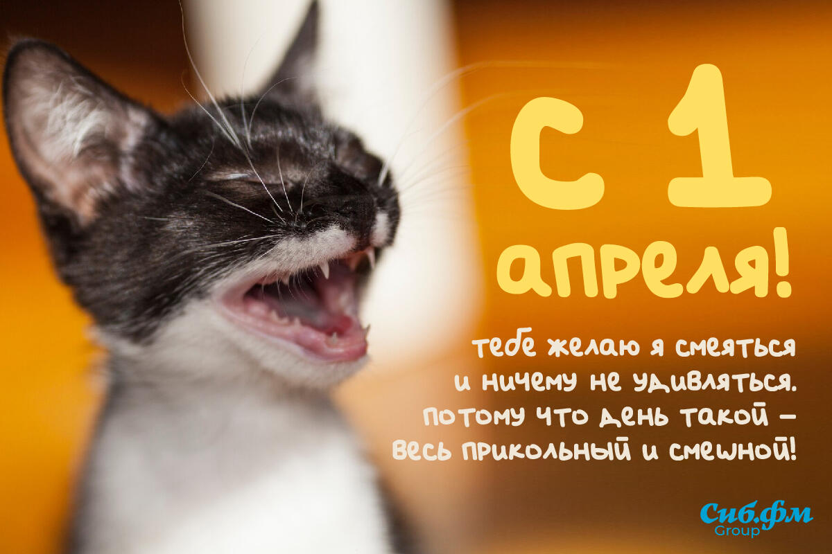 Картинки на 1 апреля День смеха и День дурака - прикольные и смешные  открытки - МК Новосибирск