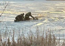 Как сообщает официальный Телеграм-канал МЧС России, в Калужской области спасателям удалось вызволить из реки провалившуюся под лед собаку