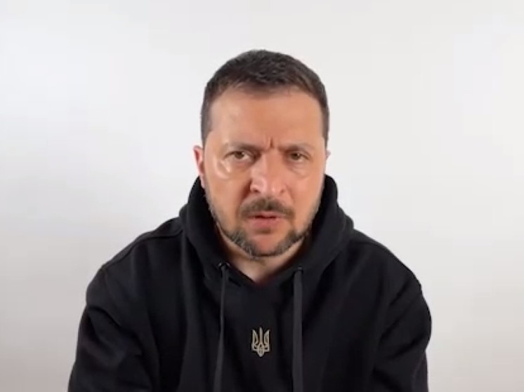 Экс-депутат Рады обвинил Зеленского в узурпации власти на Украине