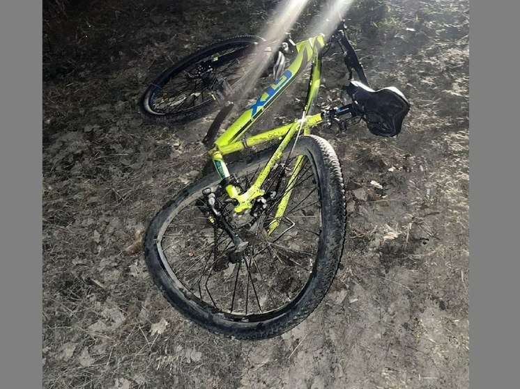 Пьяного велосипедиста под Воронежем сбила иномарка