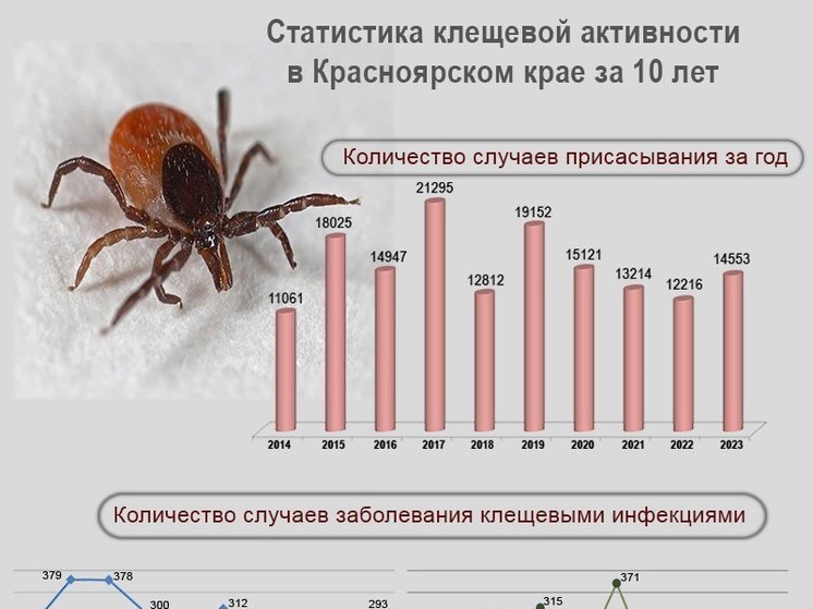 Роспотребнадзор: в Красноярском крае не было случаев присасывания клещей в марте