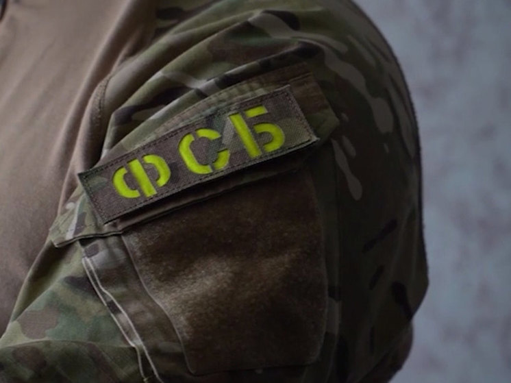 Сотрудники ФСБ задержали жителя Ростовской области, который хотел совершить теракт