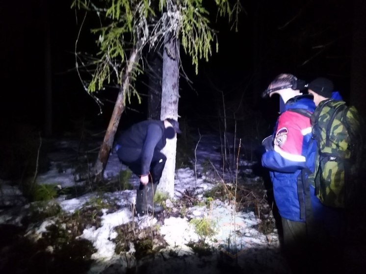 В районе деревни Хвалово спасатели вывели из леса заблудившегося мужчину