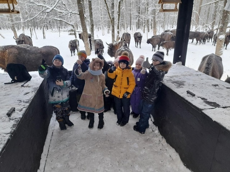 За зимний сезон экскурсии в «Калужских засеках» посетили более 2 тысяч человек