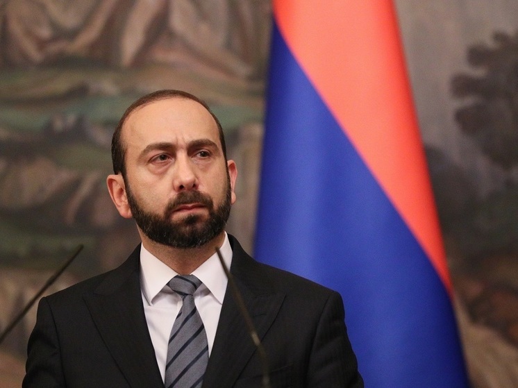 Глава МИД Армении Мирзоян: в отношениях Еревана и Москвы есть проблемы, которые нельзя скрыть