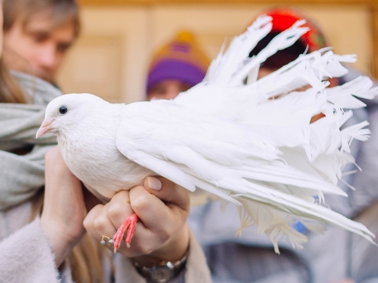 Православные хабаровчане 7 апреля запустят в небо белых голубей