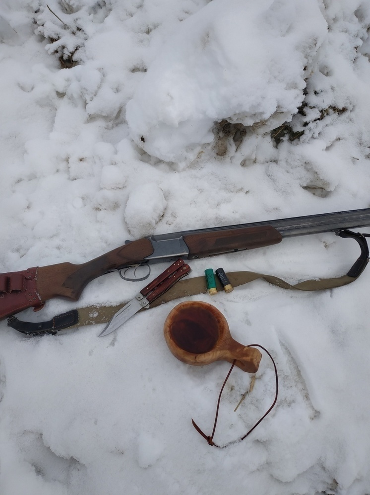 Минприроды Карелии объявило сроки весенней охоты на дичь