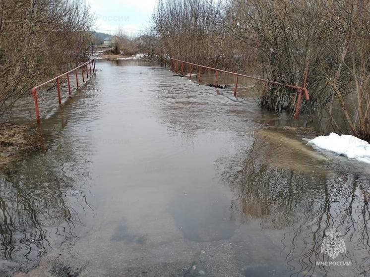 В Тамбовском округе затопило мост через реку Челновая
