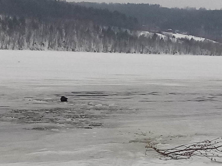 На реке Волга в Марий Эл спасли провалившегося под лёд мужчину