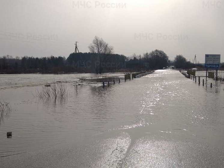 МЧС: Объездную дорогу на Заокское под Рязанью затопило