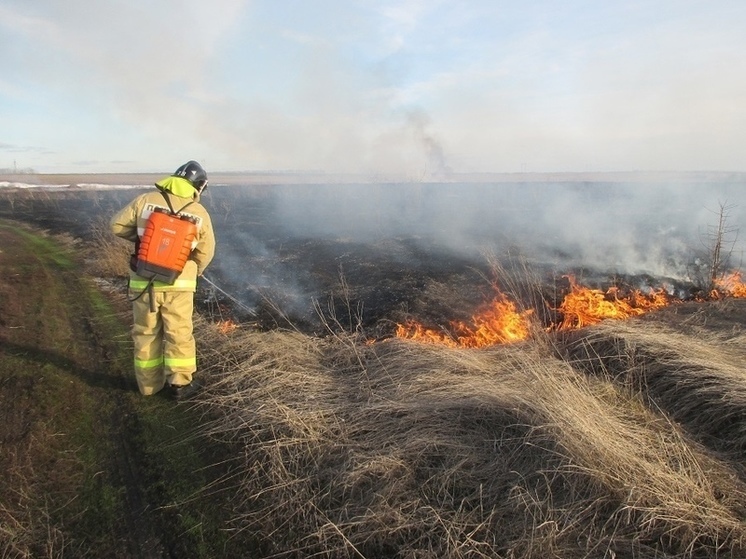 В Липецкой области начался пожароопасный сезон