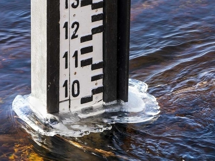 Паводок-2024 — в реке Костроме начался подъем воды