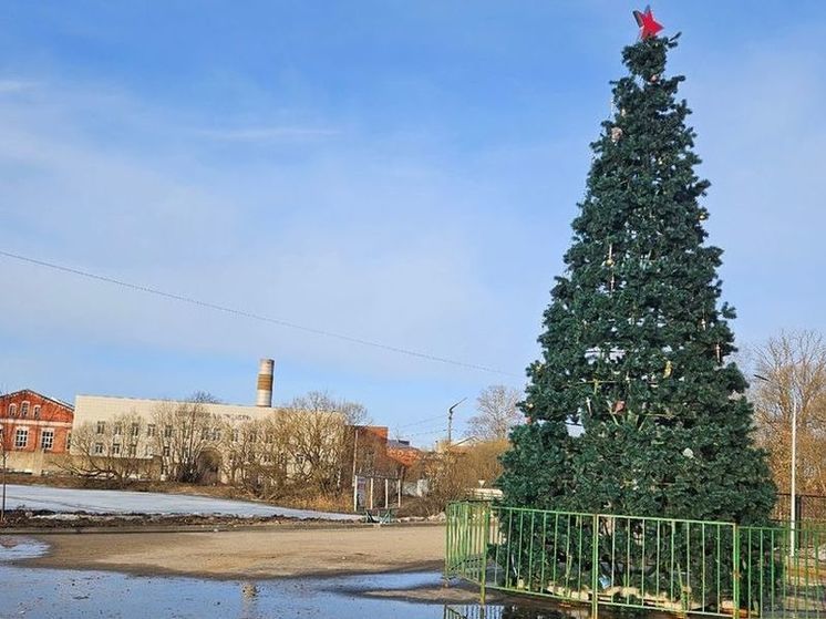 Жители города Струнино Владимировской области пожаловались на новогоднюю елку в апреле