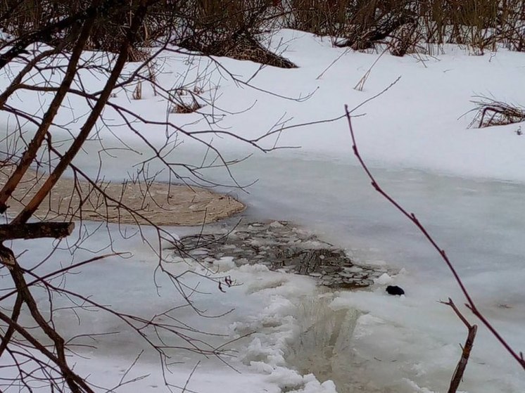 На реке Сердяжка в Марий Эл мужчина провалился под лёд