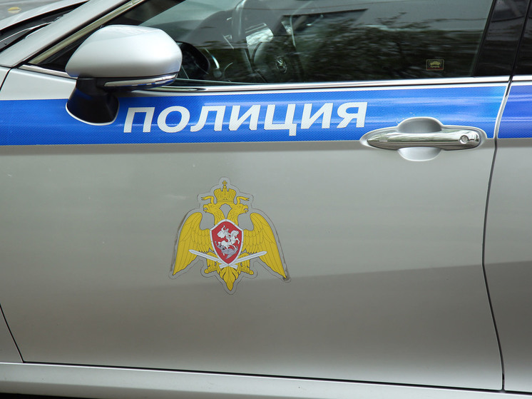 В округе Мытищи задержали двоих подозреваемых в краже продуктов