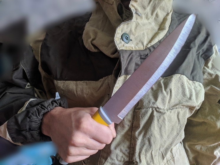 Житель Вологды нанес более десяти ножевых ударов своему старшему брату