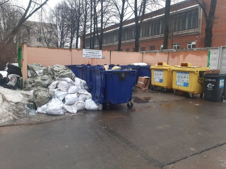 В Приозерском районе Ленобласти оценили предварительные результаты «мусорной» реформы