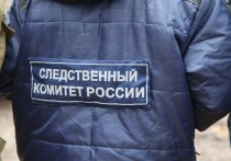 В Новотроицке автомобилист не подчинился требованию полицейского остановиться