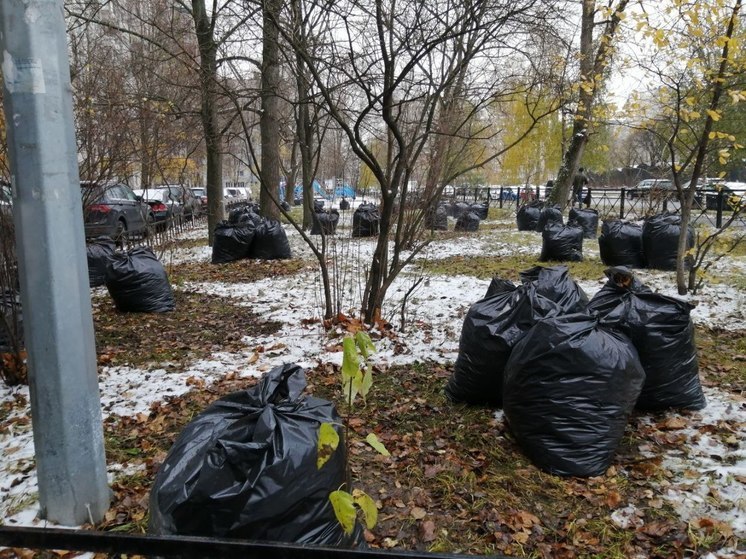 В Выборге пройдут субботники до конца мая, лучших активистов наградят