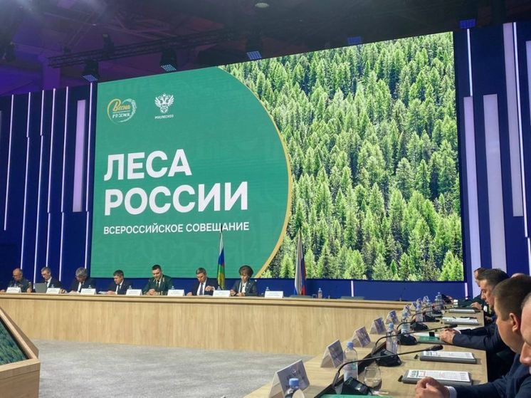 Segezha Group предлагает меры по улучшению ситуации в отечественном леспроме