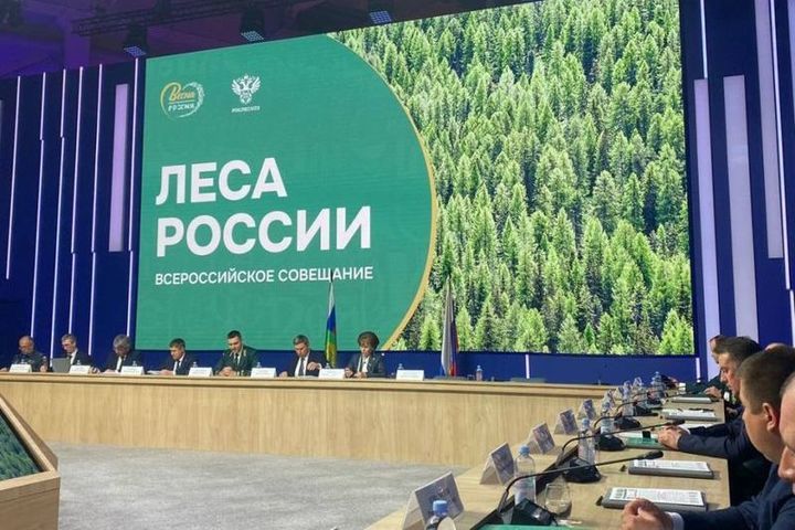 Segezha Group предлагает меры по улучшению ситуации в отечественном леспроме