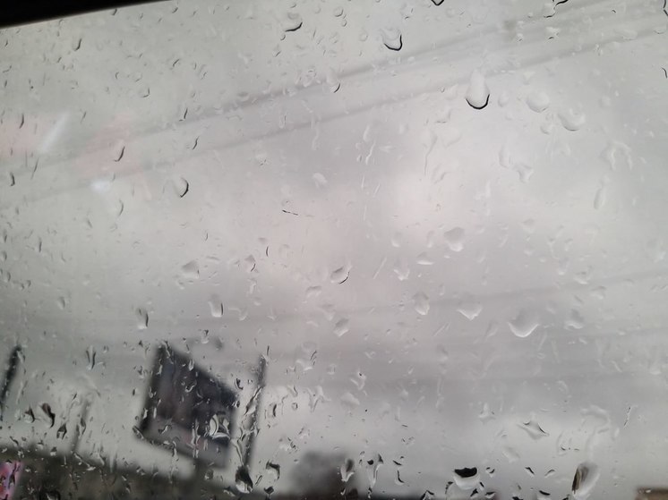 Дождь и туман ожидается в Ленобласти 2 апреля