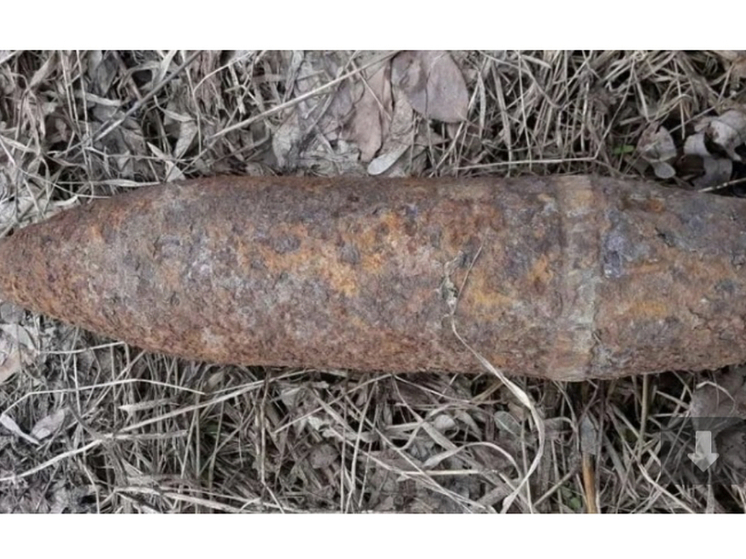 В Ярцеве найден и обезврежен взрывоопасный предмет времён Великой Отечественной войны