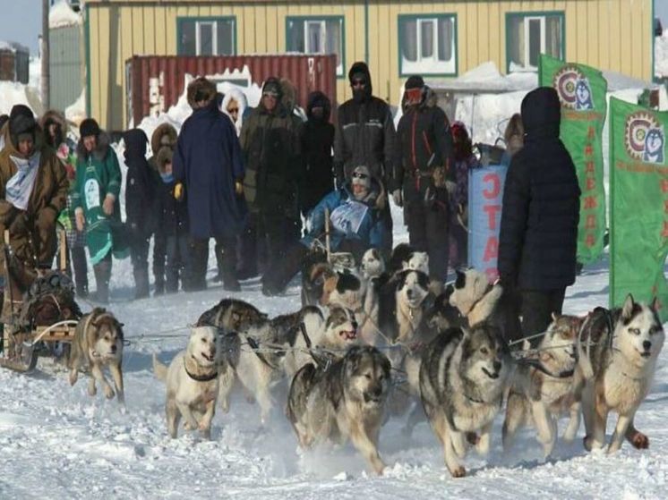 Победителями первого этапа "Надежды-2024" стали лоринские каюры