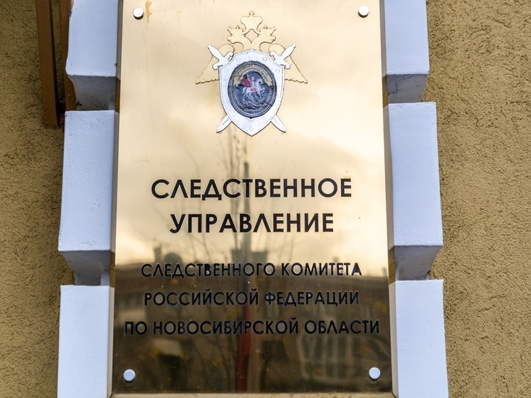 В Новосибирске отправили в ИВС мигранта-мясника, который желал смерти русским бойцам