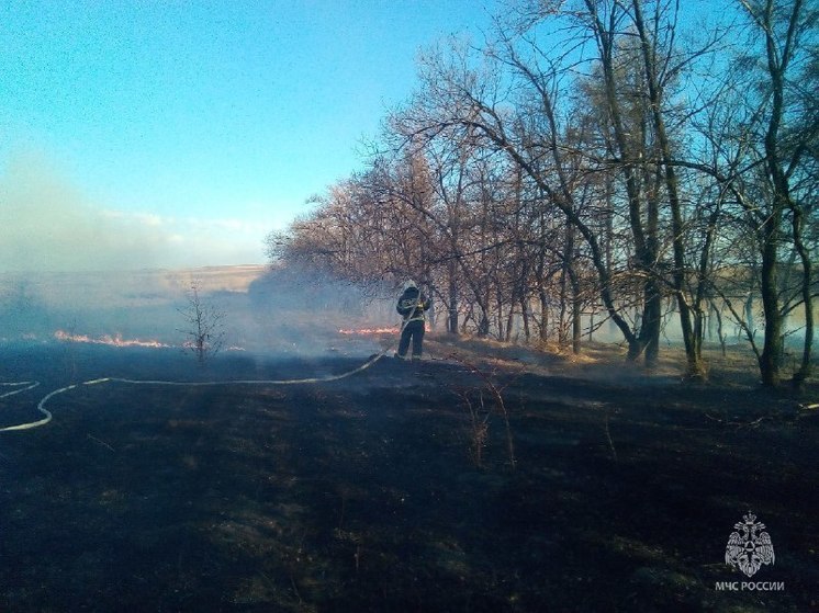 Один из природных пожаров в Хакасии достиг 3 километров