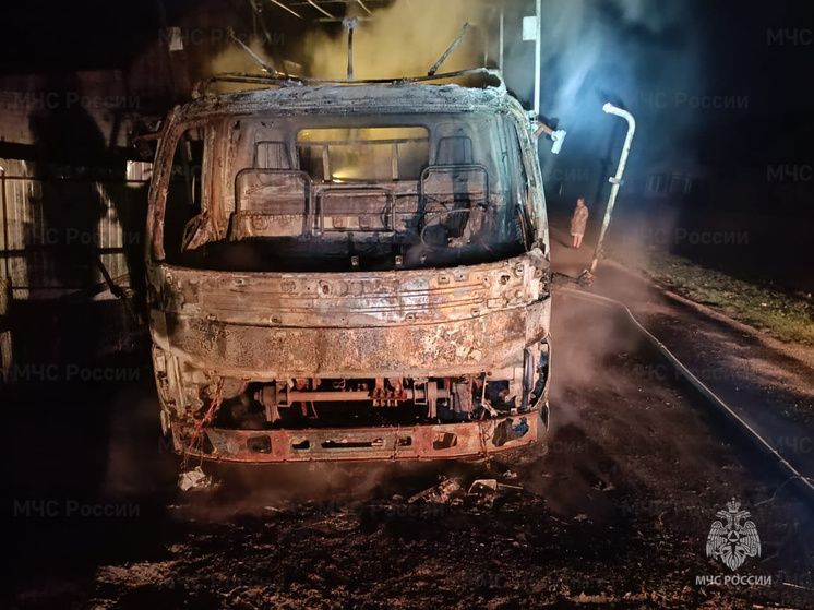Очередная машина сгорела в Брянском районе
