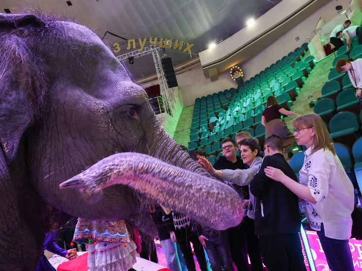 В Рязанском цирке прошло представление для слабовидящих и незрячих детей