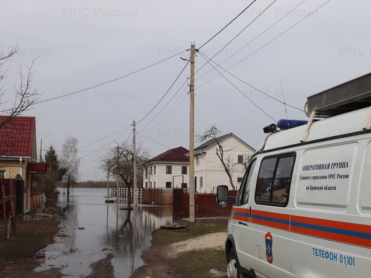 Половодье в Брянской области: 163 участка скрылись под водой