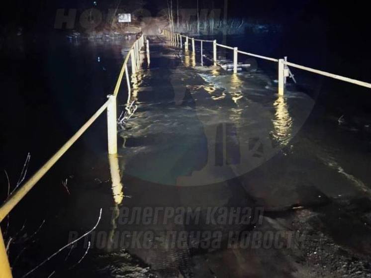 В одном из населенных пунктов Пензенской области паводковые воды затопили мост