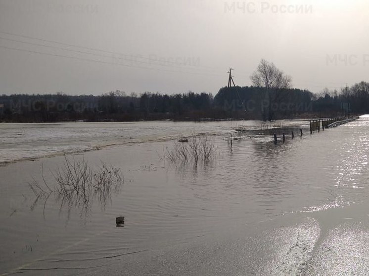 В Пителинском районе Рязанской области подтопило дорогу у села Станище