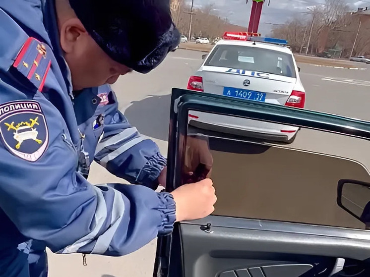 В Хакасии за первый день рейда «Тонировка» наказали больше 160 водителей