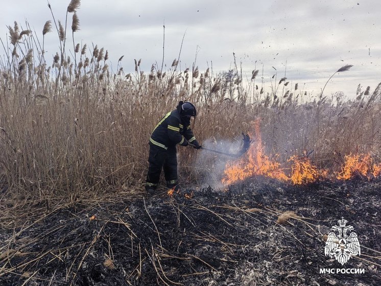 Белгородцам напомнили об ответственности за выжигание сухой травы
