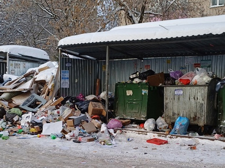 В Иванове пять лиц привлекли к ответственности за грязные контейнерные площадки