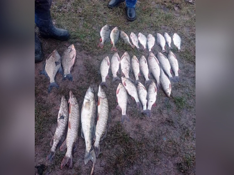 Трое жителей Башкирии попались на незаконной рыбалке