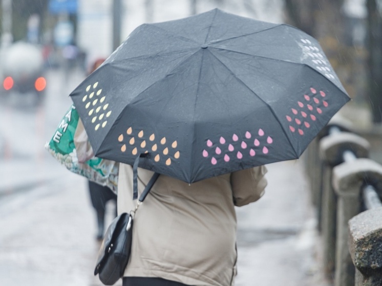 Дождь ожидается в Псковской области 3 апреля