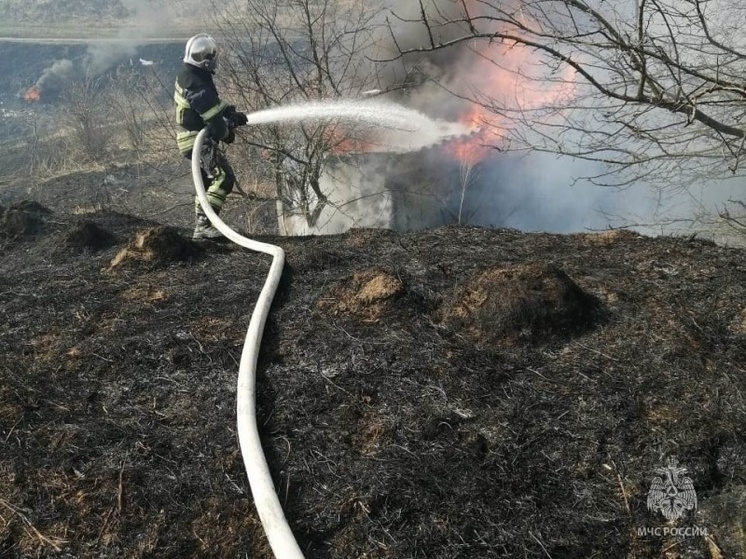 За сутки в Курской области 100 раз горела сухая трава